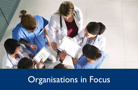 Organisations in focus